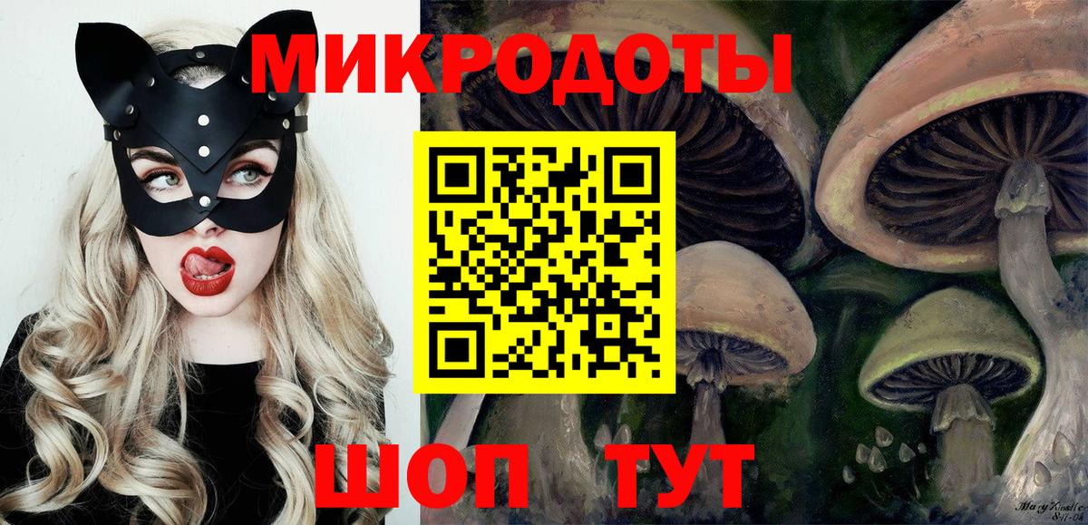 Псилоцибиновые грибы Cubensis  Вход с VPN  Галлюциногенные грибы мицелий  Ахтубинск 